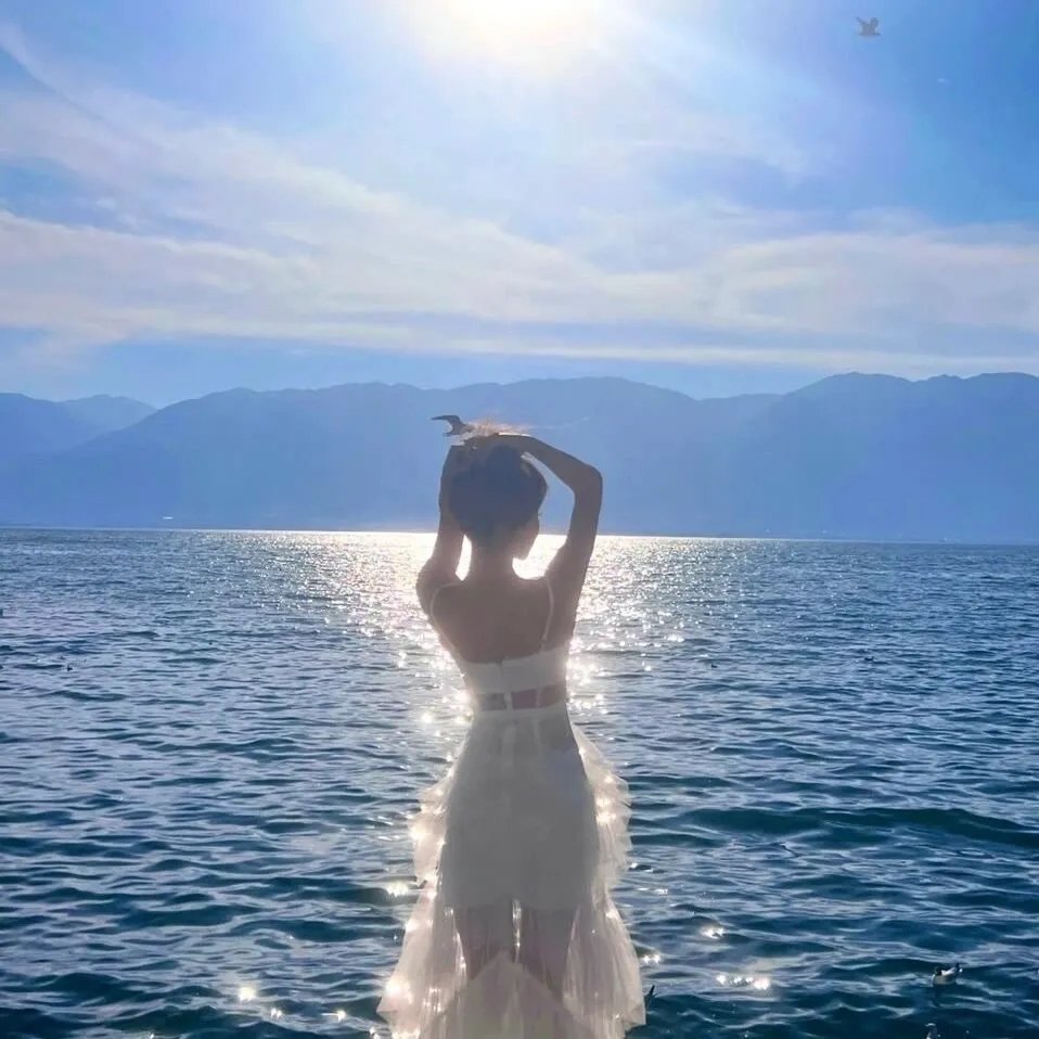 土地与尘埃 海报